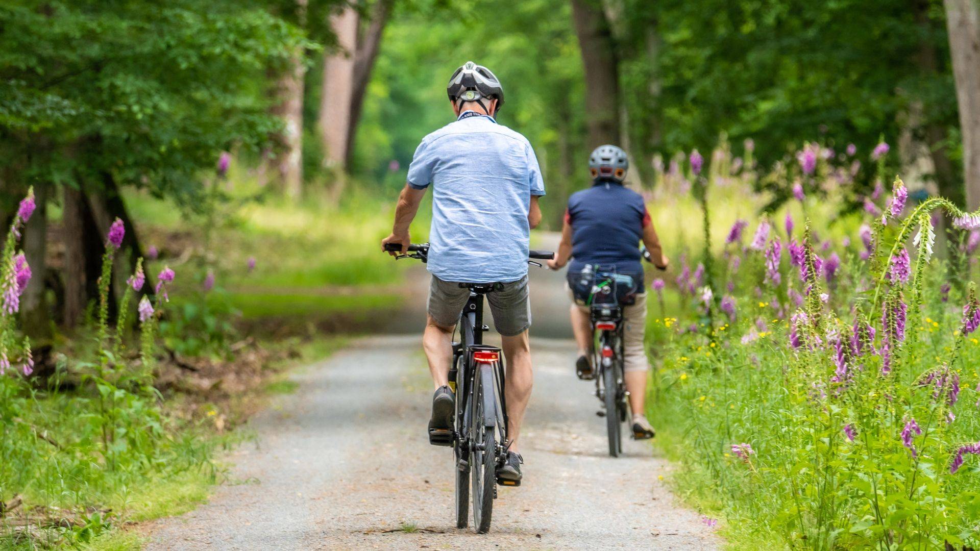 Drumeție și biciclete în zona Noua, Brașov
